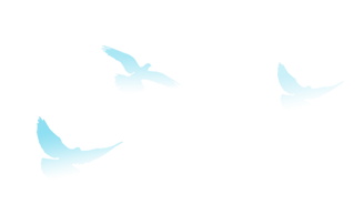 19d30d88238087aa6d99f11a95947278 图片